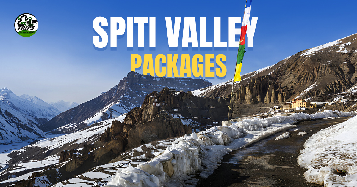 Spiti valley group tour